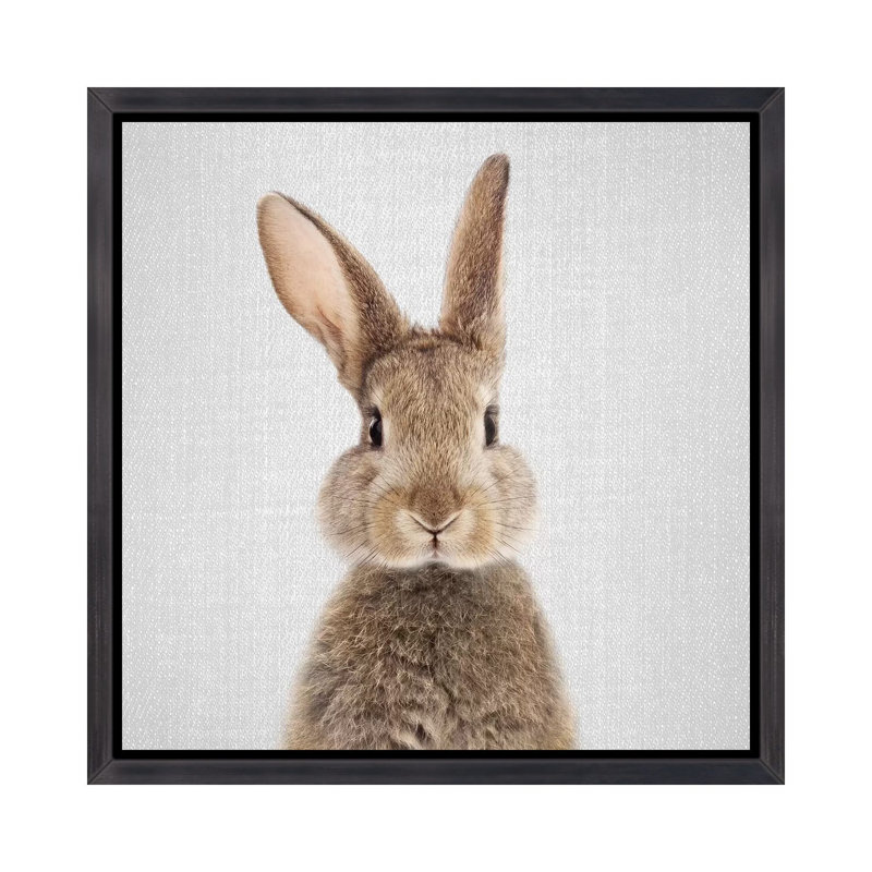 «Rabbit» - reproduction de photo, Cadre noir vieilli, H 37 po x l 37 po x P 1,5 po