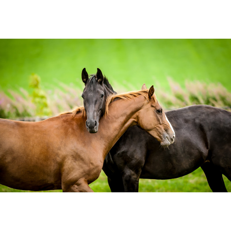 Poneys sur un pré vert, H 24 po x l 48 po x P 1,5 po