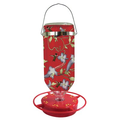 Glass Hanging Hummingbird Feeder