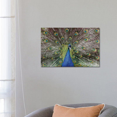 Beauty 1 Piece Wrapped Canvas Wall Art