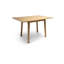 Tenaya Extending Dining Table-1471701583