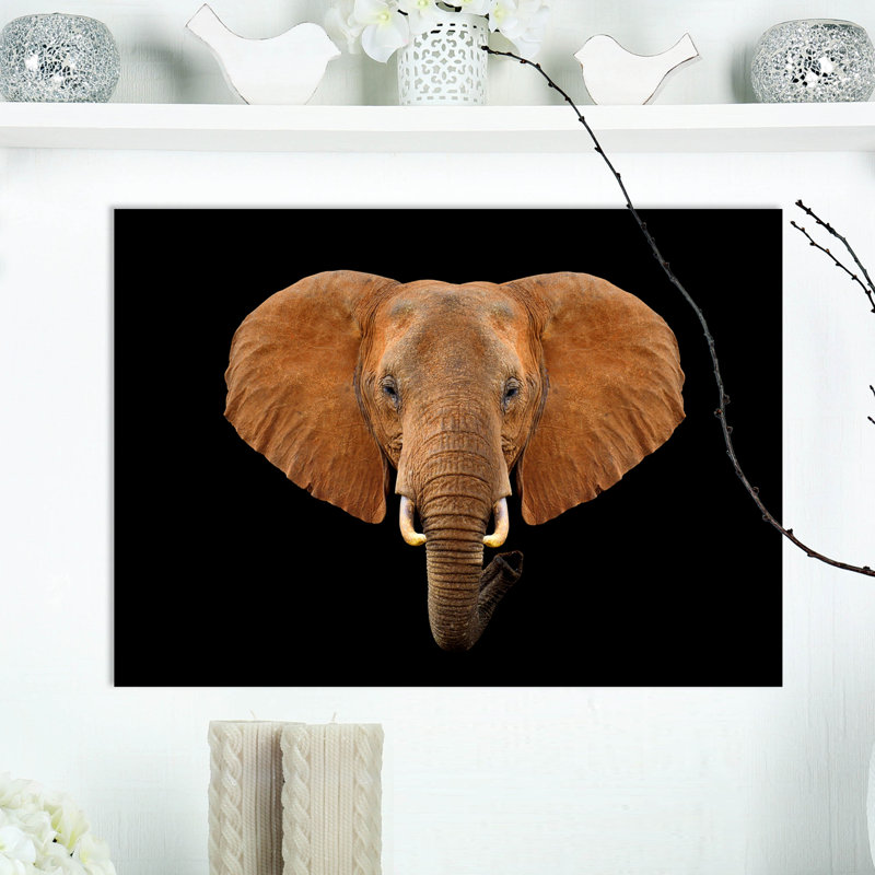 « close up éléphant head », reproduction d’impression sur toile tendue, H 20 po x l 20 po x P 1 po
