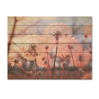 «Delicate Calm Dandelion Serenity II» - Autres plantes et fleurs sur bois