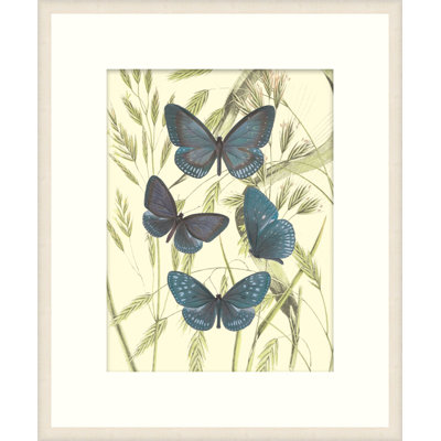 Mariposas 5 Print