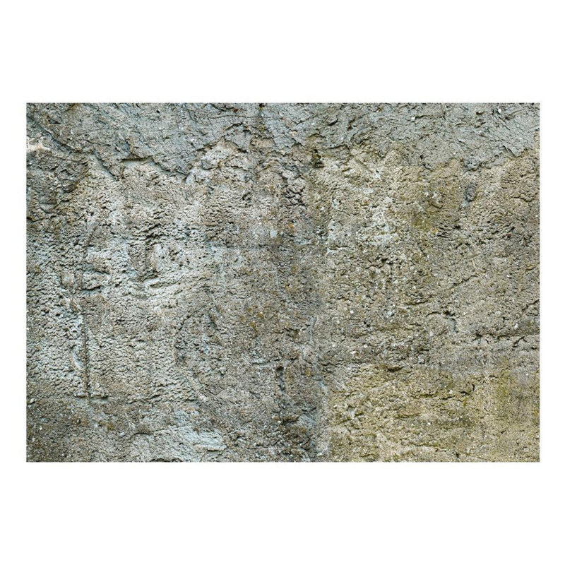 Murale Stony Barriere, L 41 po x l 59 po