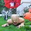 Décoration d'Halloween pour halloween