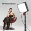 Plug-in Table Picture Light