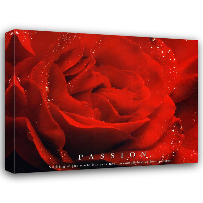 Passion, H 14 po x l 18 po