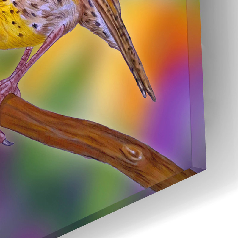  'Song Birds Collage' by Tim Jeffs Acrylic Glass Wall Art, 16" x 12"