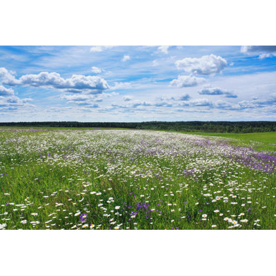 Summer Landscape - Wrapped Canvas Print