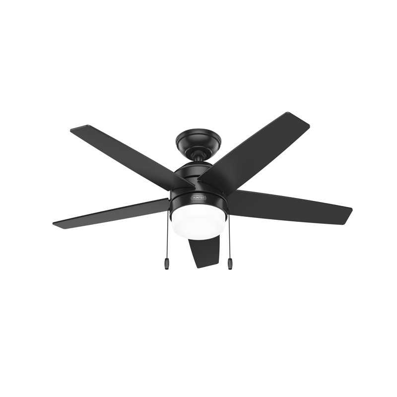 44" Bardot 5 - Blade Ceiling Fan With Lights and Pull Chains, Black
