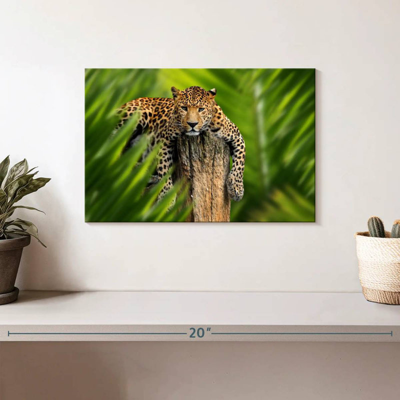 Brampt Jungle Leopard