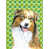 Australian Shepherd (Brown and White)