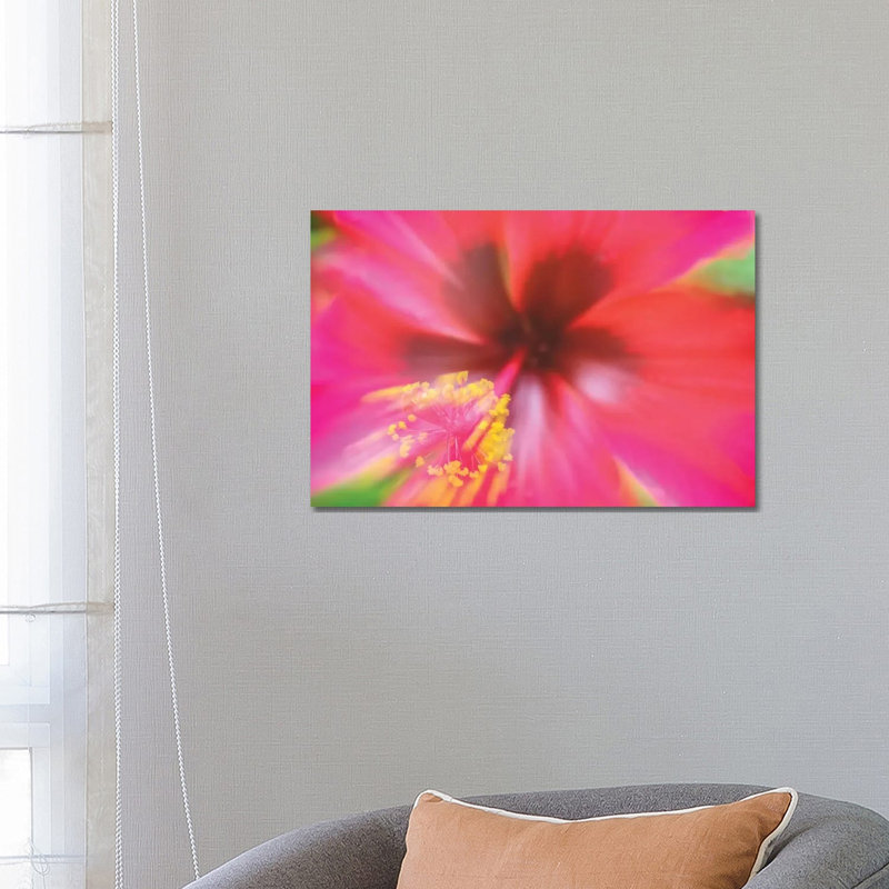 Pink Hibiscus Flower by Glauco Meneghelli - Wrapped Canvas Print