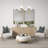 Cleary 6 - Light Dimmable Globe Chandelier-1239481835