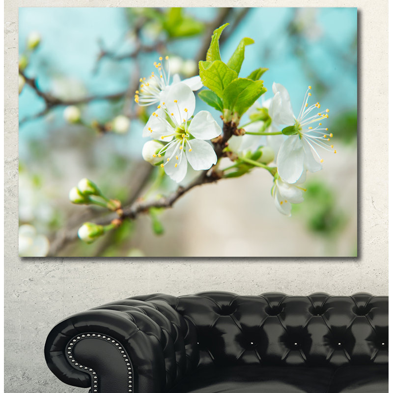 Beautiful Cherry Blossom n Spring - Reproduction de photo sur toile tendue, H 30 po x l 40 po x p 1 po
