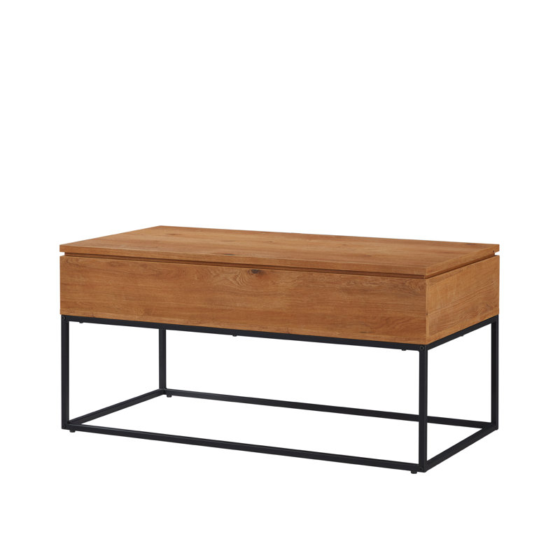 Stoltz 40" Lift Top Coffee Table with Storage