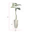 73 po plante