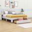 Aunjel Upholstered Storage Bed-1197633123