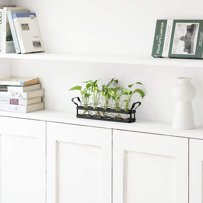 Plante terrarium avec support en métal