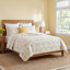 French Medallion Cotton Quilt Set