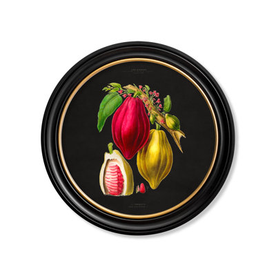 Chocolate by Mid-1800s - Single Picture Frame Print on Archival Matt 230gsm Paper