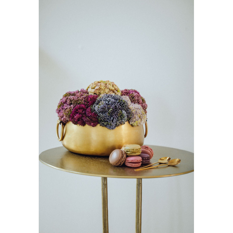 Beatrix Gold Sedum Arrangement