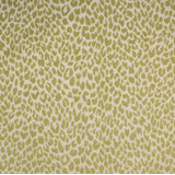 Shenzi Fabric