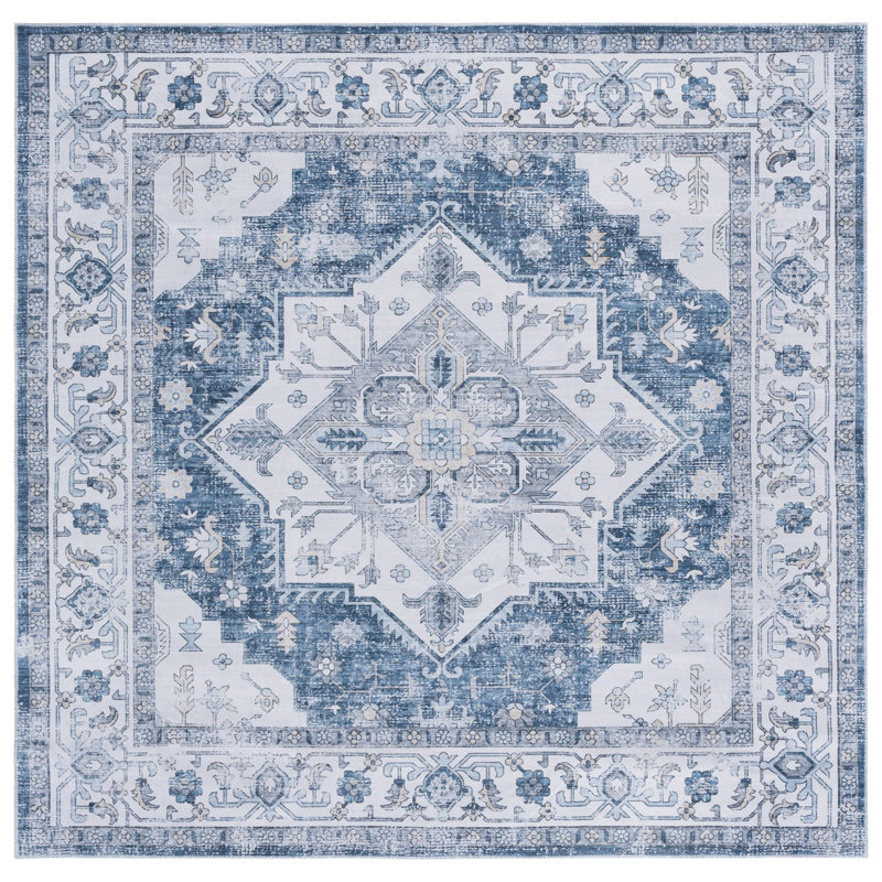 Toderita Machine Washable Performance Oriental Rug, Square 6'