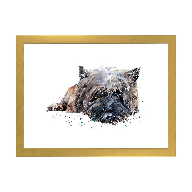 «Cairn Terrier II» par EdsWatercolours - impression, H 16 po x l 24 po x P 1 po, Papier encadré doré, Blanc