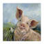 "Whimsical Pig & Daisy", peinture sur toile, conception par Susan Winget-1814319690