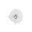 Décoration murale coquelicot-48423045