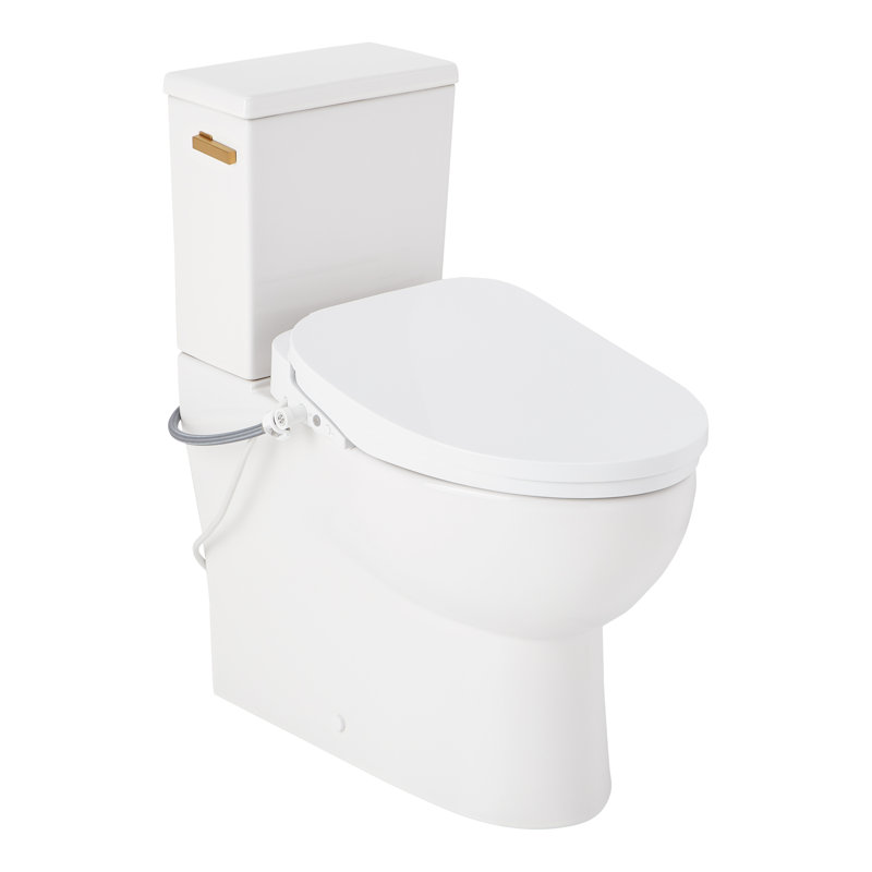 Lavrik Two-Piece Skirted Elongated Toilet with Reversible Tank - Bidet seat - Brushed Gold Handle, Brushed Gold