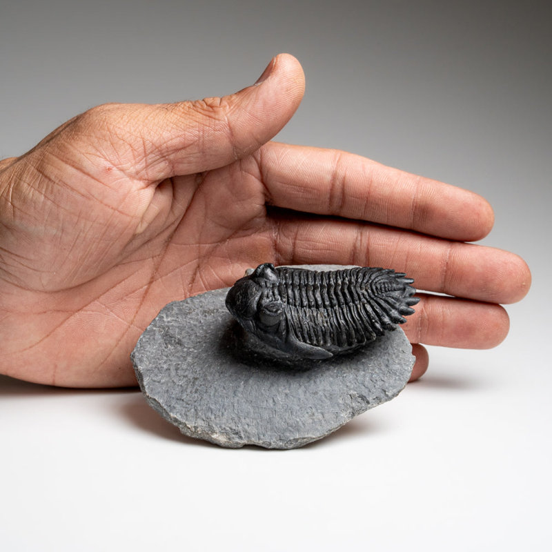 Stone Decorative Object
