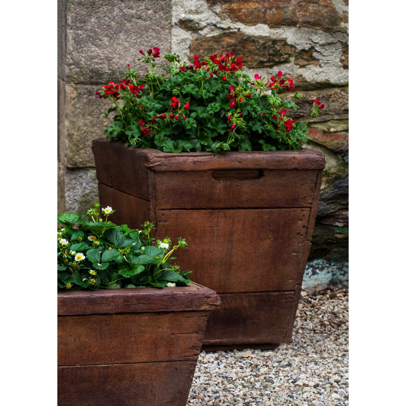 Vendange Planter, Pietra Vecchia