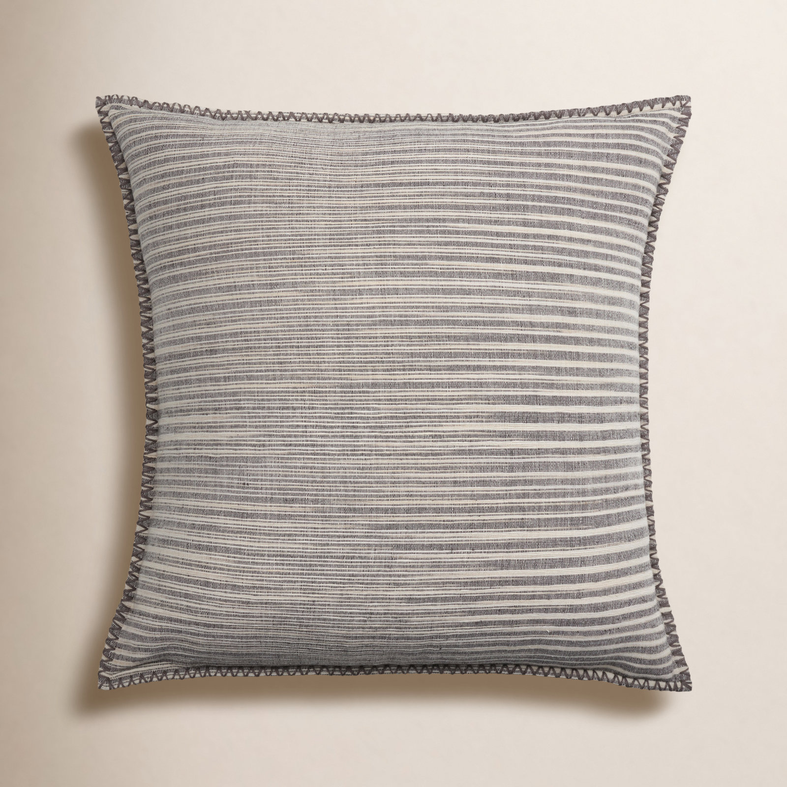 Rogin 24" x 24" Cotton Pillow Cover, Down