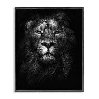 Dunfermline «King of the Jungle Lion In Shadows Black and White» par Design Fabrikken, impression