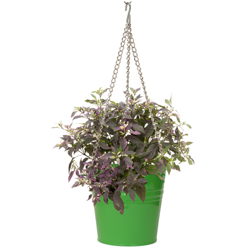 Pot à fleurs surélevé en acier galvanisé, Vert pomme