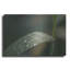 "Textures 20" par Gordon Semmens, art mural en métal, 36 po x 24 po-34431000