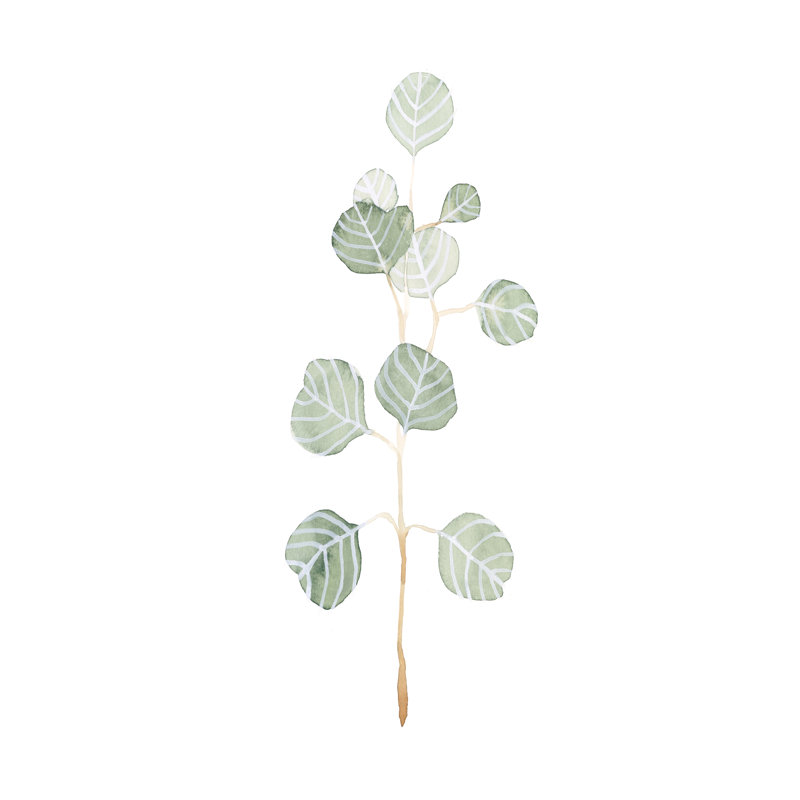 Douce branche d'eucalyptus II, H 30 po x l 20 po x P 1,25 po