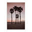 Toile rose Stanta Monica Palms, design par Natalie Carpentieri-806009380