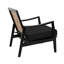 Lichtenstein Armchair Chair with Ottoman