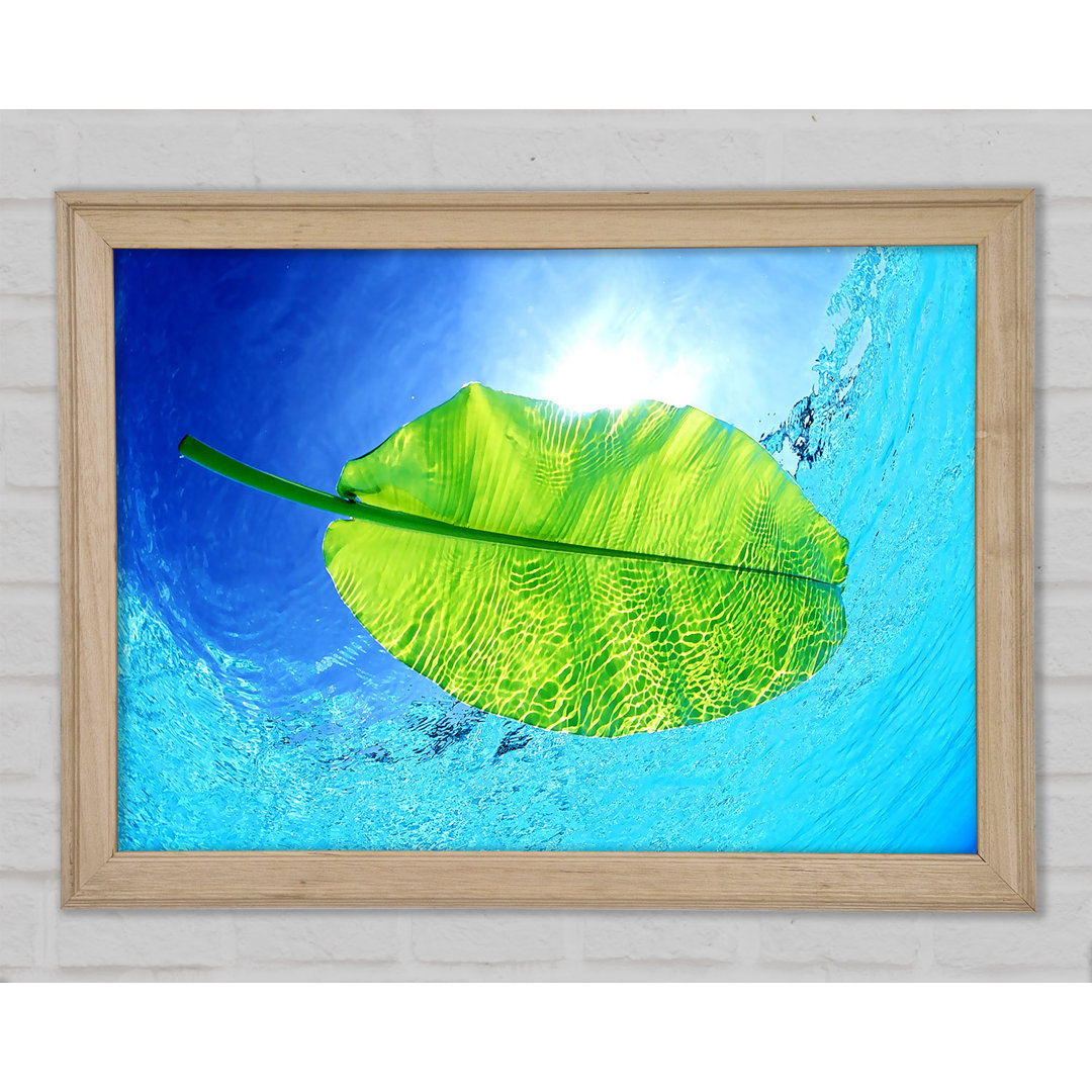 Blue Waters Of A Green Leaf Gerahmter Druck