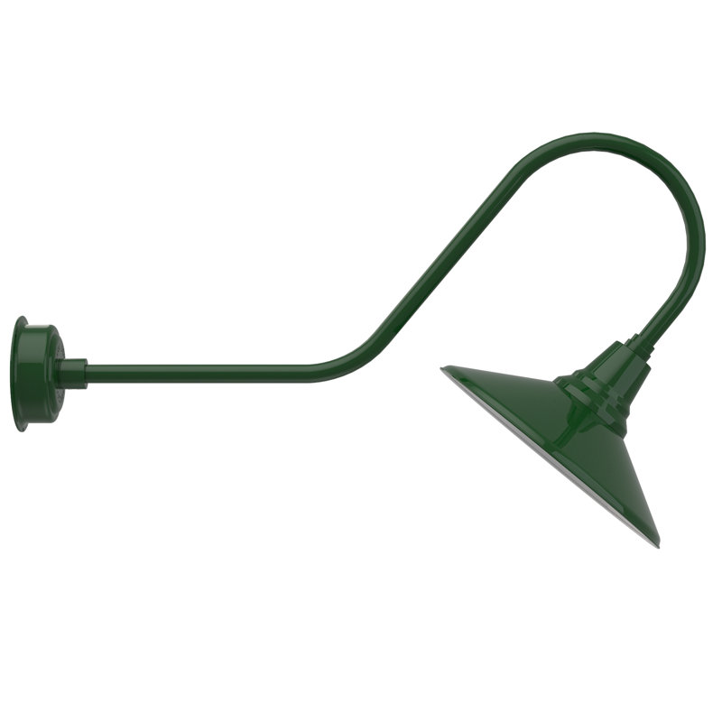 Luminaire de grange d’extérieur à del Albali, H 12 po x l 16 po x P 36 po, Vert rétro