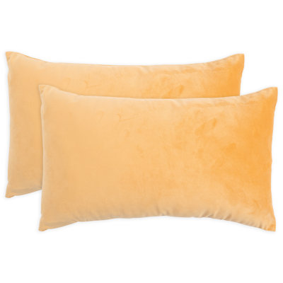 Velvet Pillows Pillow Cover