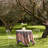 Pansy Tablecloth-15215595-107096557