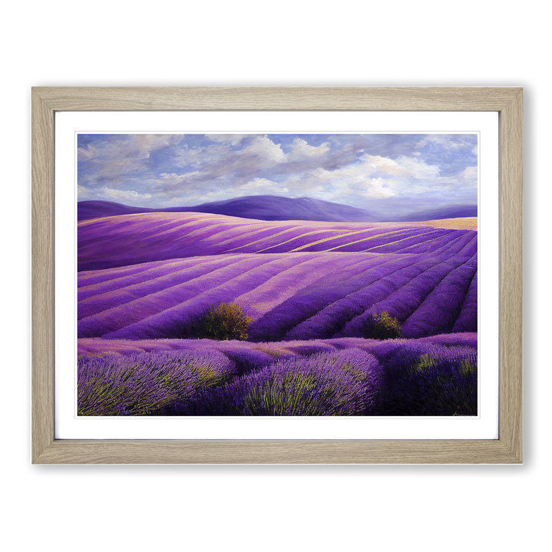 Brave Lavender Flower Field - Single Picture Frame Print, 34cm H x 46cm W x 2cm D, Oak Framed