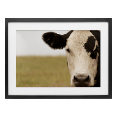 «Rustic Cow Stare», reproduction d'art sous verre encadrée par J: L Design