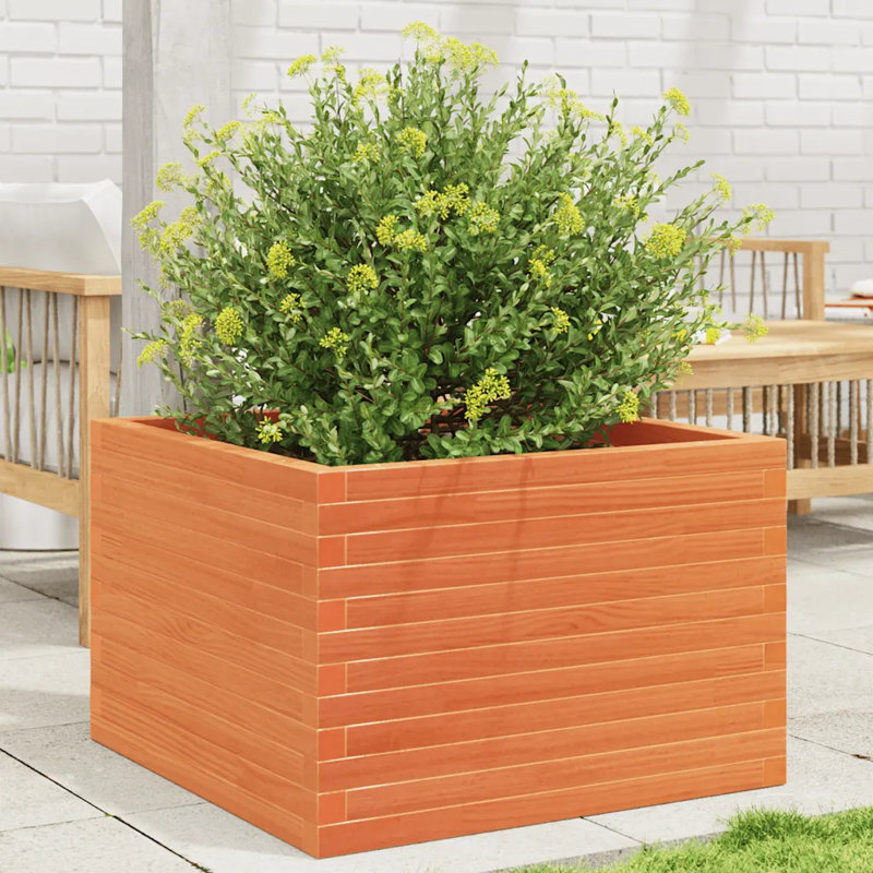 2 Wood Planter, 46cm H x 70cm W x 70cm D, Wax brown