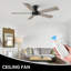 Ventilateur de plafond 52 po sans lumière